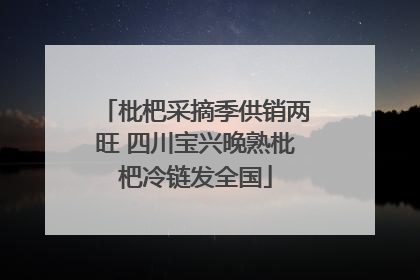 枇杷采摘季供销两旺 四川宝兴晚熟枇杷冷链发全国