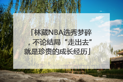 林葳NBA选秀梦碎，不论结局“走出去”就是珍贵的成长经历