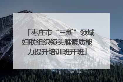 枣庄市“三新”领域妇联组织领头雁素质能力提升培训班开班
