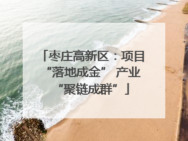 枣庄高新区：项目“落地成金” 产业“聚链成群”