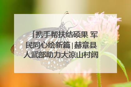 携手帮扶结硕果 军民同心绘新篇∣赫章县人武部助力大凉山村阔步乡村振兴路