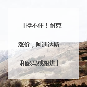 撑不住！耐克涨价，阿迪达斯和彪马或跟进