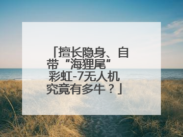 擅长隐身、自带“海狸尾” 彩虹-7无人机究竟有多牛？