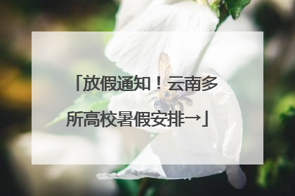 放假通知！云南多所高校暑假安排→