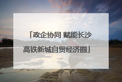 政企协同 赋能长沙高铁新城自贸经济圈