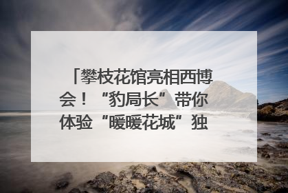 攀枝花馆亮相西博会！“豹局长”带你体验“暖暖花城”独特魅力｜西博视界