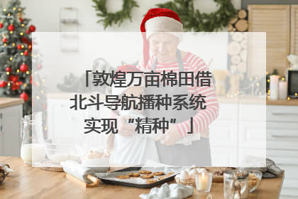 敦煌万亩棉田借北斗导航播种系统实现“精种”