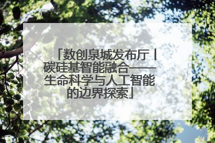 数创泉城发布厅丨碳硅基智能融合——生命科学与人工智能的边界探索