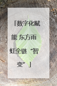 数字化赋能 东方雨虹全链“智变”