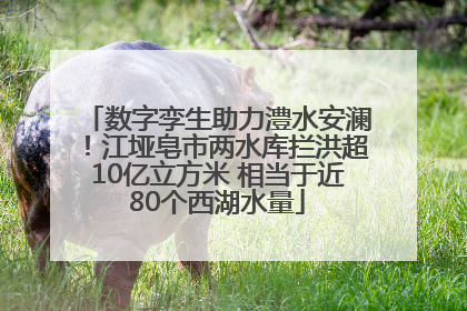 数字孪生助力澧水安澜！江垭皂市两水库拦洪超10亿立方米 相当于近80个西湖水量