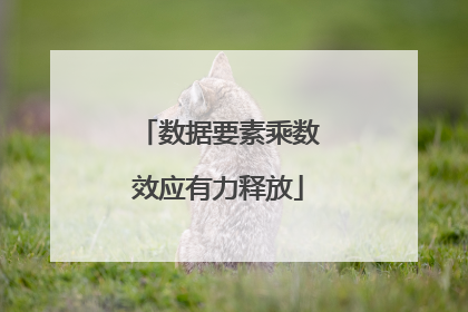 数据要素乘数效应有力释放