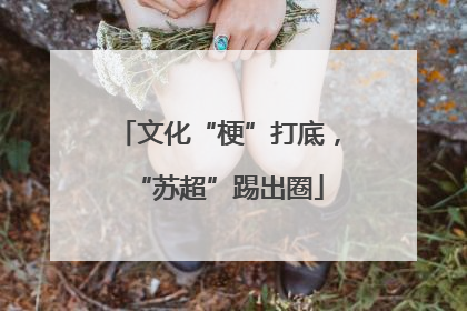 文化“梗”打底，“苏超”踢出圈