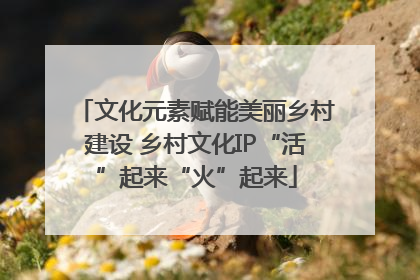 文化元素赋能美丽乡村建设 乡村文化IP“活”起来“火”起来