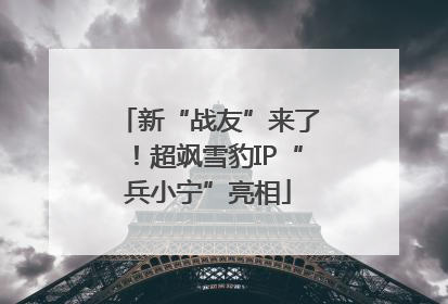 新“战友”来了！超飒雪豹IP“兵小宁”亮相