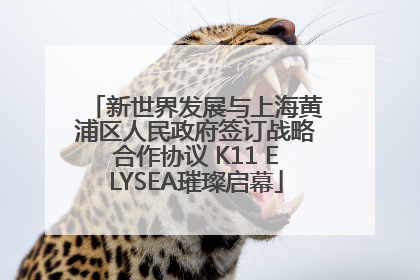 新世界发展与上海黄浦区人民政府签订战略合作协议 K11 ELYSEA璀璨启幕
