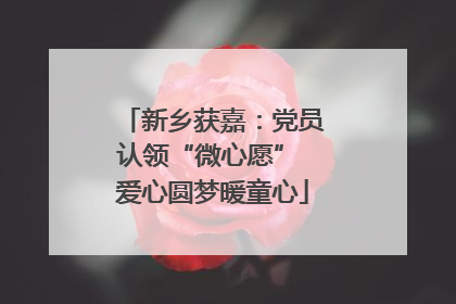 新乡获嘉：党员认领“微心愿” 爱心圆梦暖童心