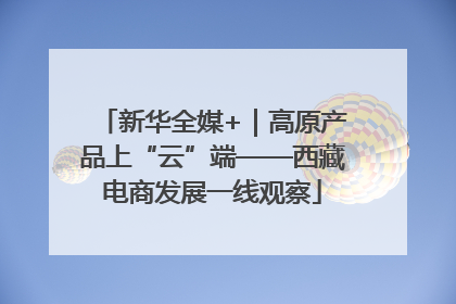 新华全媒+｜高原产品上“云”端——西藏电商发展一线观察
