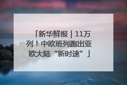 新华鲜报｜11万列！中欧班列跑出亚欧大陆“新时速”