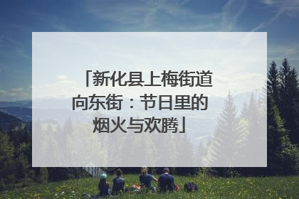 新化县上梅街道向东街：节日里的烟火与欢腾