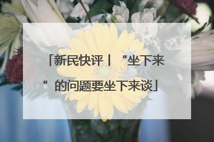 新民快评丨“坐下来”的问题要坐下来谈