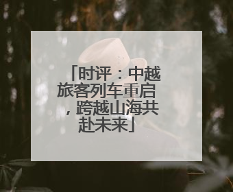 时评：中越旅客列车重启，跨越山海共赴未来