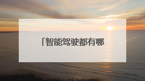 智能驾驶都有哪些公司？Momenta“穿行桥底迷宫”无法不令人印象深刻！