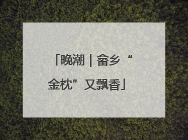 晚潮｜畲乡“金枕”又飘香