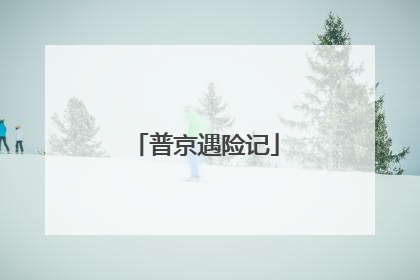 普京遇险记