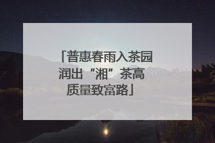 普惠春雨入茶园 润出“湘”茶高质量致富路
