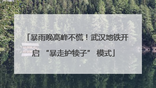 暴雨晚高峰不慌！武汉地铁开启 “暴走护犊子” 模式