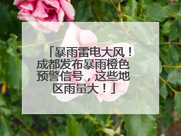 暴雨雷电大风！成都发布暴雨橙色预警信号，这些地区雨量大！