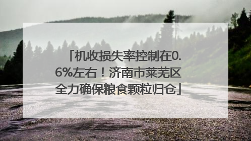 机收损失率控制在0.6%左右！济南市莱芜区全力确保粮食颗粒归仓