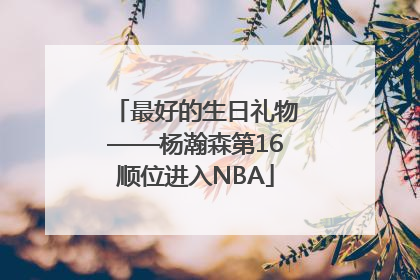 最好的生日礼物——杨瀚森第16顺位进入NBA