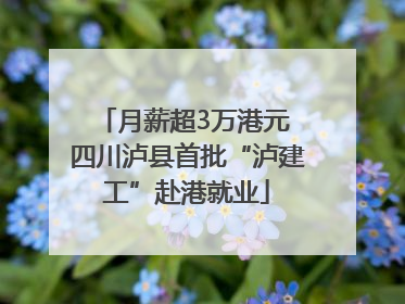 月薪超3万港元 四川泸县首批“泸建工”赴港就业
