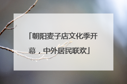 朝阳麦子店文化季开幕，中外居民联欢