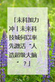 未科加力冲丨未来科技城何以率先激活“人造超级大脑”？