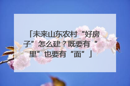 未来山东农村“好房子”怎么建？既要有“里”也要有“面”