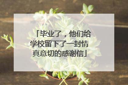 毕业了，他们给学校留下了一封情真意切的感谢信