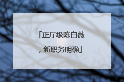 正厅级陈白薇，新职务明确