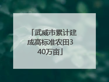 武威市累计建成高标准农田340万亩