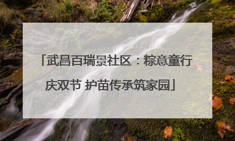 武昌百瑞景社区：粽意童行庆双节 护苗传承筑家园