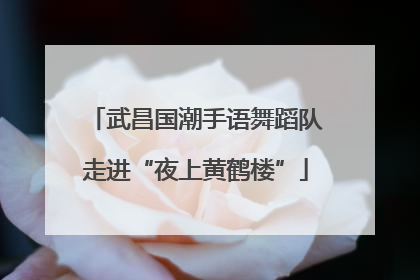 武昌国潮手语舞蹈队走进“夜上黄鹤楼”
