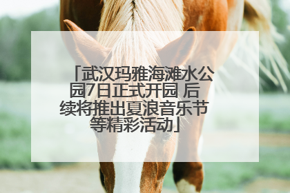 武汉玛雅海滩水公园7日正式开园 后续将推出夏浪音乐节等精彩活动