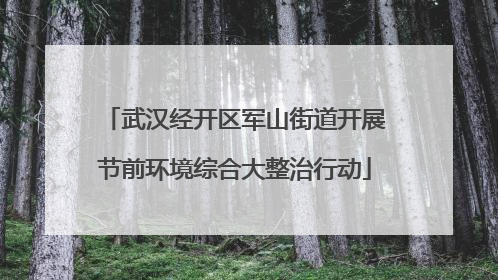 武汉经开区军山街道开展节前环境综合大整治行动