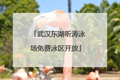 武汉东湖听涛泳场免费泳区开放