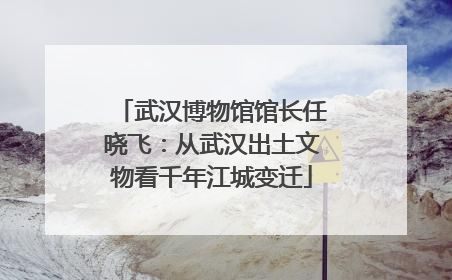 武汉博物馆馆长任晓飞：从武汉出土文物看千年江城变迁