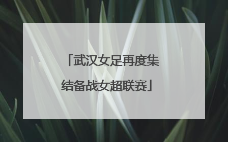 武汉女足再度集结备战女超联赛