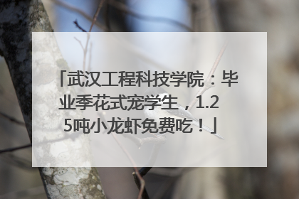 武汉工程科技学院：毕业季花式宠学生，1.25吨小龙虾免费吃！