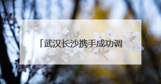 武汉长沙携手成功调解食品包装版权纠纷