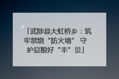 武陟县大虹桥乡:筑牢禁烧“防火墙” 守护夏粮好“丰”景